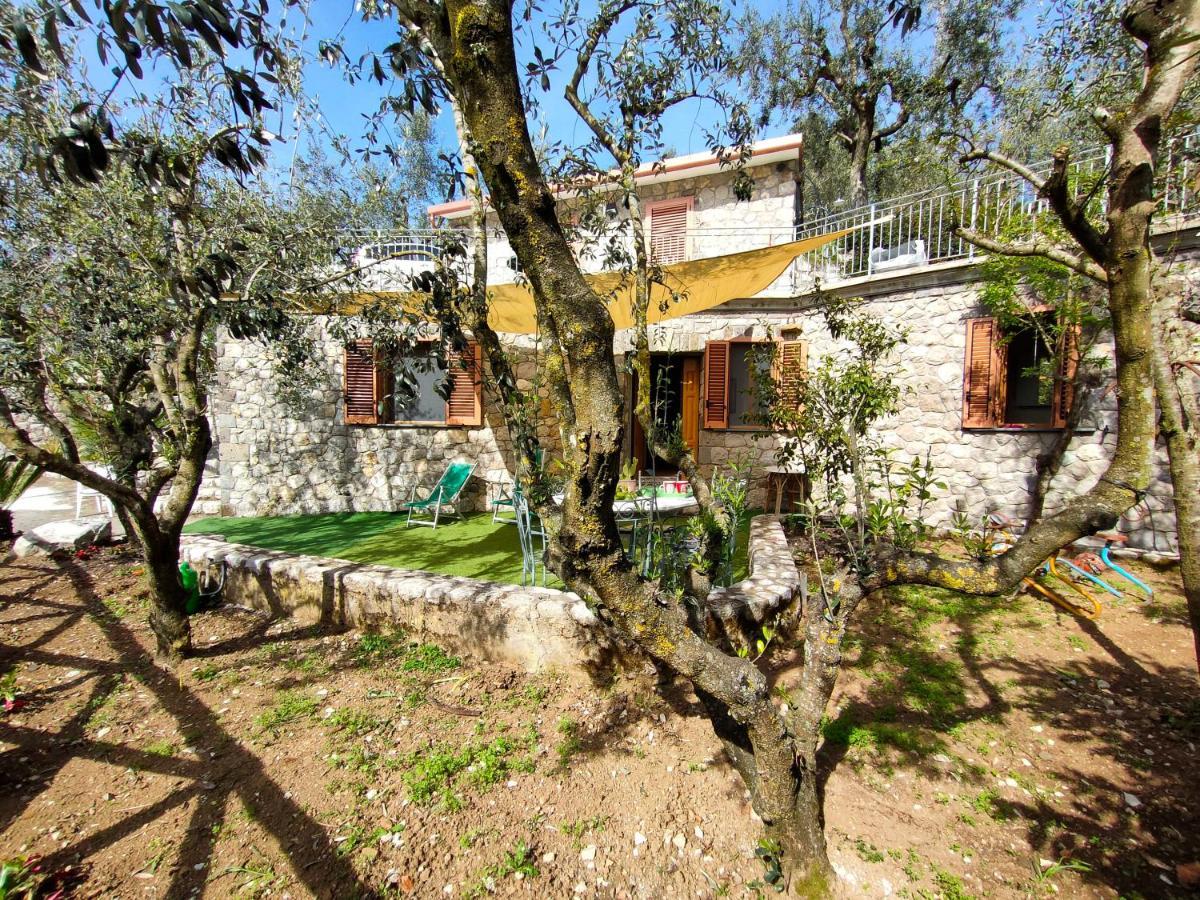 Cynara Holiday House Massa Lubrense Εξωτερικό φωτογραφία
