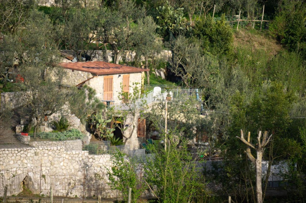 Cynara Holiday House Massa Lubrense Εξωτερικό φωτογραφία