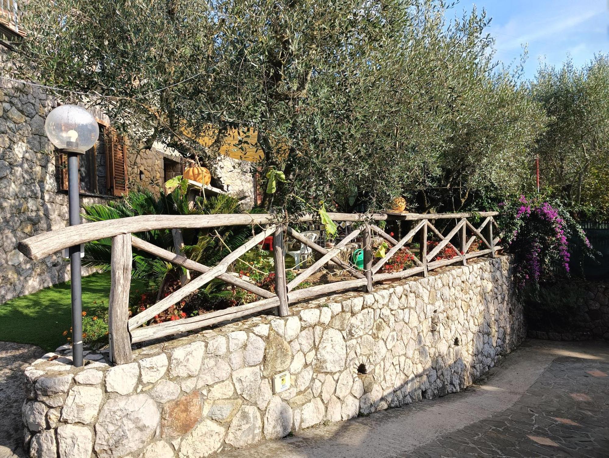 Cynara Holiday House Massa Lubrense Εξωτερικό φωτογραφία